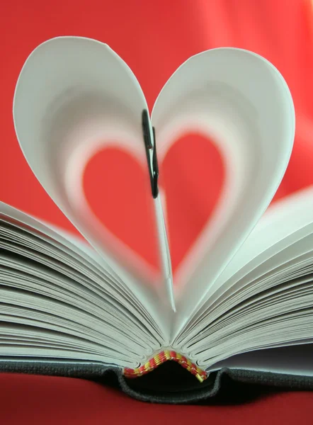 In love with literature — Stock Photo, Image