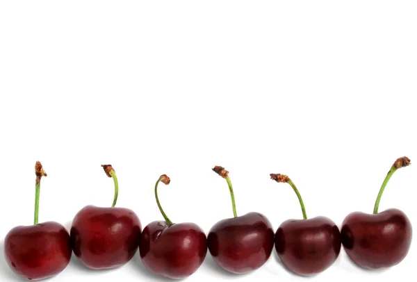 Row of cherries — Stockfoto
