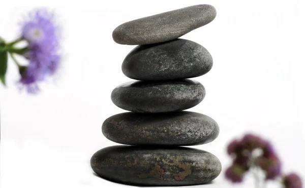 stock image Stones and flowers