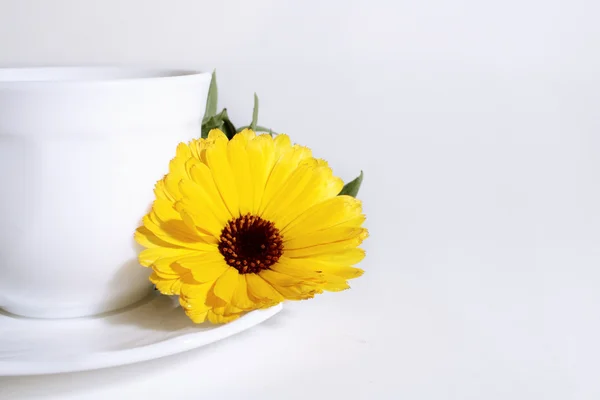 stock image Yellow flower