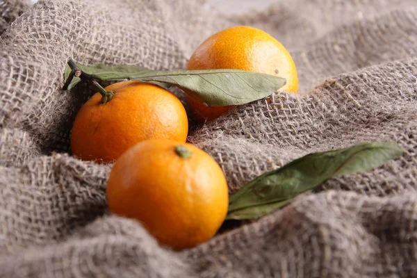 Mandarinen auf Leinwand — Stockfoto