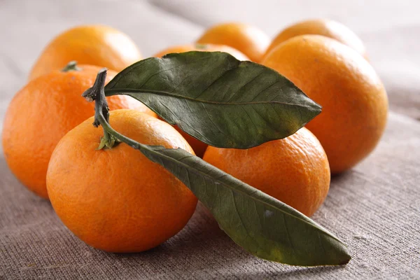 Mandariner på duk — Stockfoto