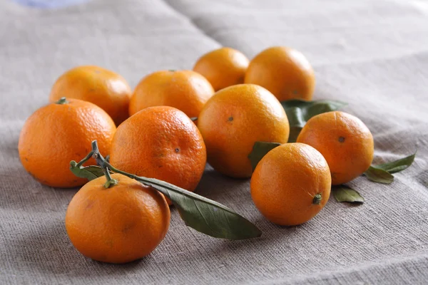 Mandarinky na plátně — Stock fotografie