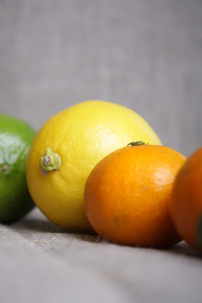 Citrusové plody na plátně — Stock fotografie