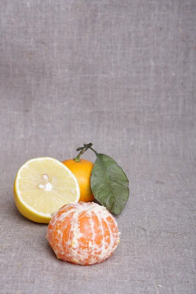 Citrus på duk — Stockfoto