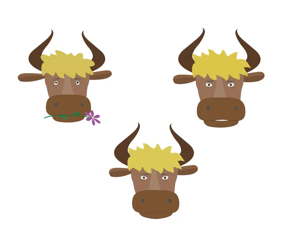 Tres cabezas del toro — Archivo Imágenes Vectoriales