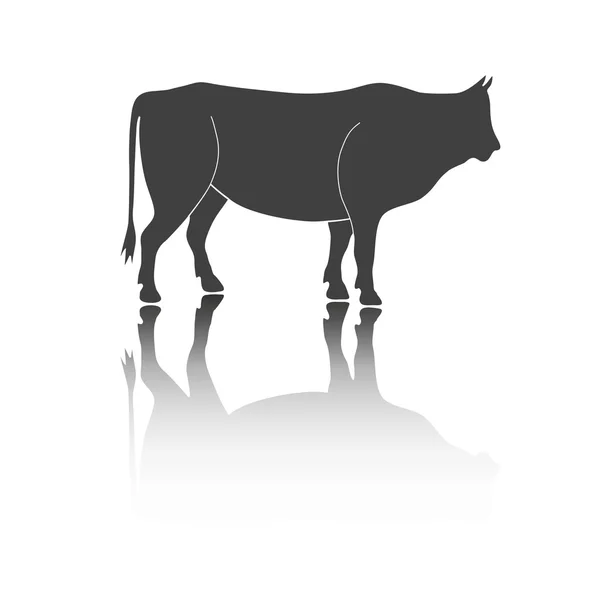 El toro —  Fotos de Stock