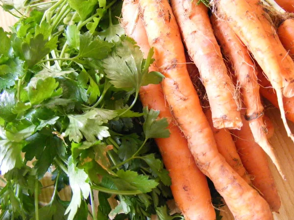 stock image Various vegetables