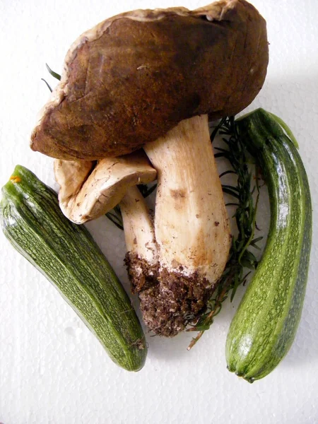 버섯과 호박 — 스톡 사진