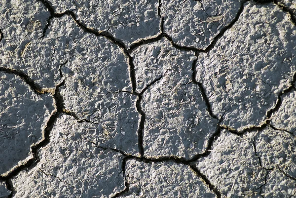 Textura de terra seca — Fotografia de Stock