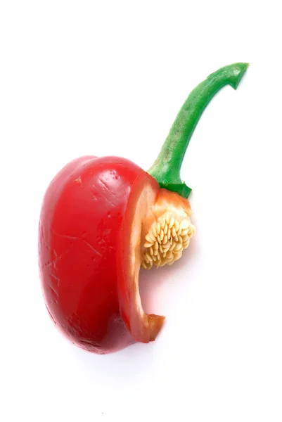 Paprika isolerad på vit bakgrund — Stockfoto