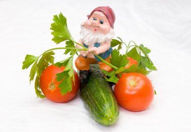 The gnome and vegetables clipart