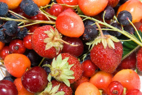 Berry allsorts — Stock Photo, Image