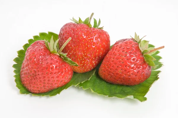 Strawberry and green leaves — Stock Photo, Image