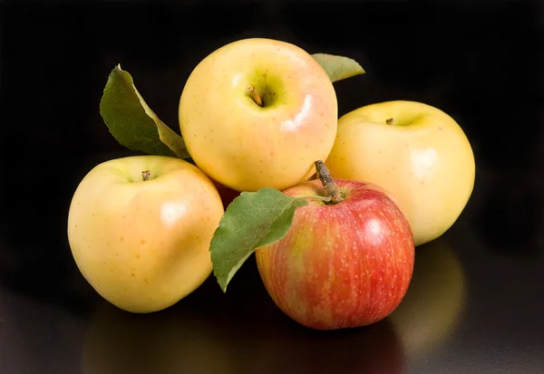 stock image Apples