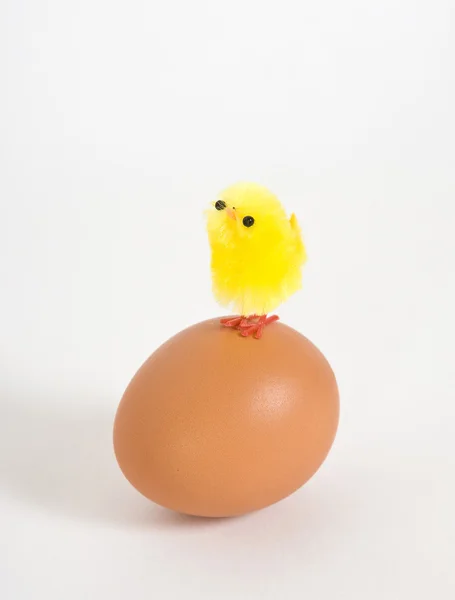 Nestling and a chicken egg — Stock Photo, Image