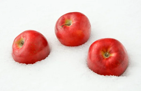 stock image Apples in the snow