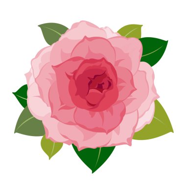 Vector peony flower clipart