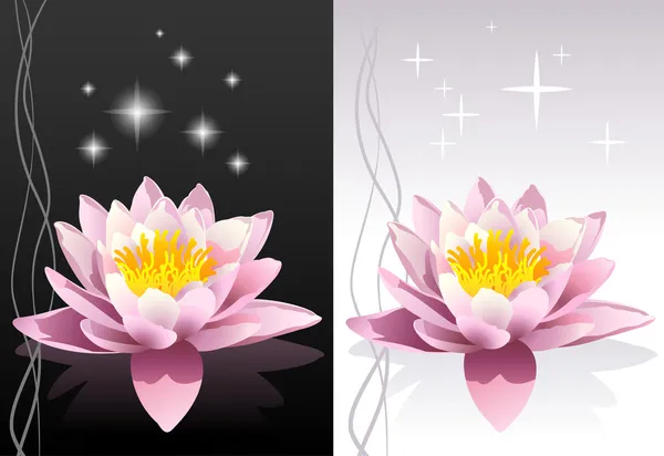 Vector detallado flor de loto — Vector de stock
