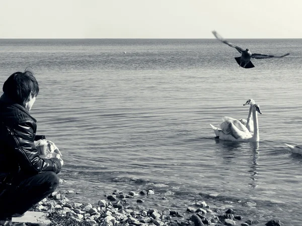 stock image Alone with the sea birds
