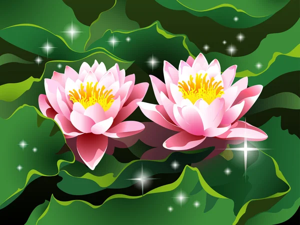 Flores de loto en el agua y estrellas brillantes — Vector de stock