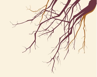 Vector tree branches background clipart