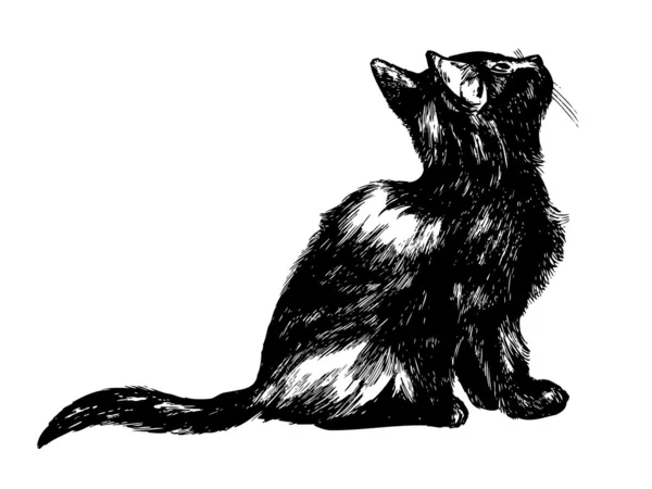 Dibujo de un gato mirando hacia arriba — Vector de stock