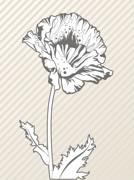 Doodle de flor de papoula estilizado elegante —  Vetores de Stock