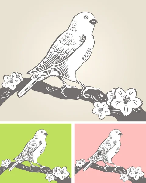 Hand drawn bird on blooming tree branch — Stock Vector