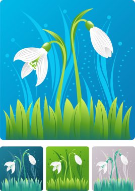 Spring nature illustration with snowdrop clipart