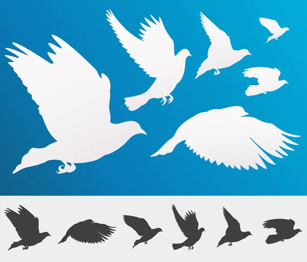 Siluetas de aves voladoras — Archivo Imágenes Vectoriales