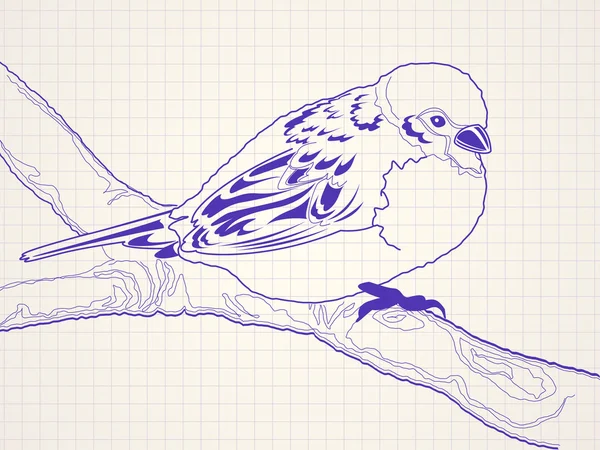 Hand drawn sparrow bird on a branch — Stock Vector