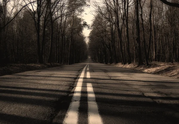 Jalan kosong — Stok Foto