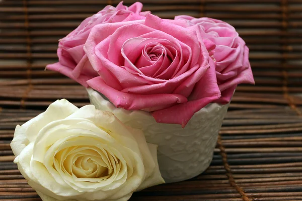 Delicadas rosas rosadas y blancas — Foto de Stock