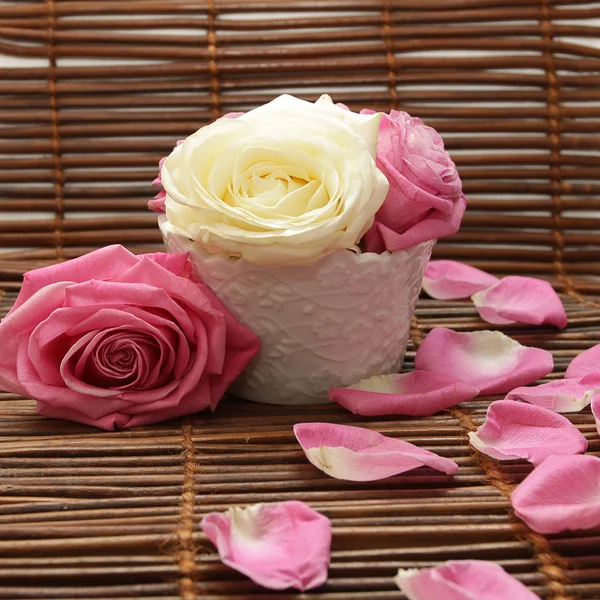 Rosas e pétalas de rosa — Fotografia de Stock