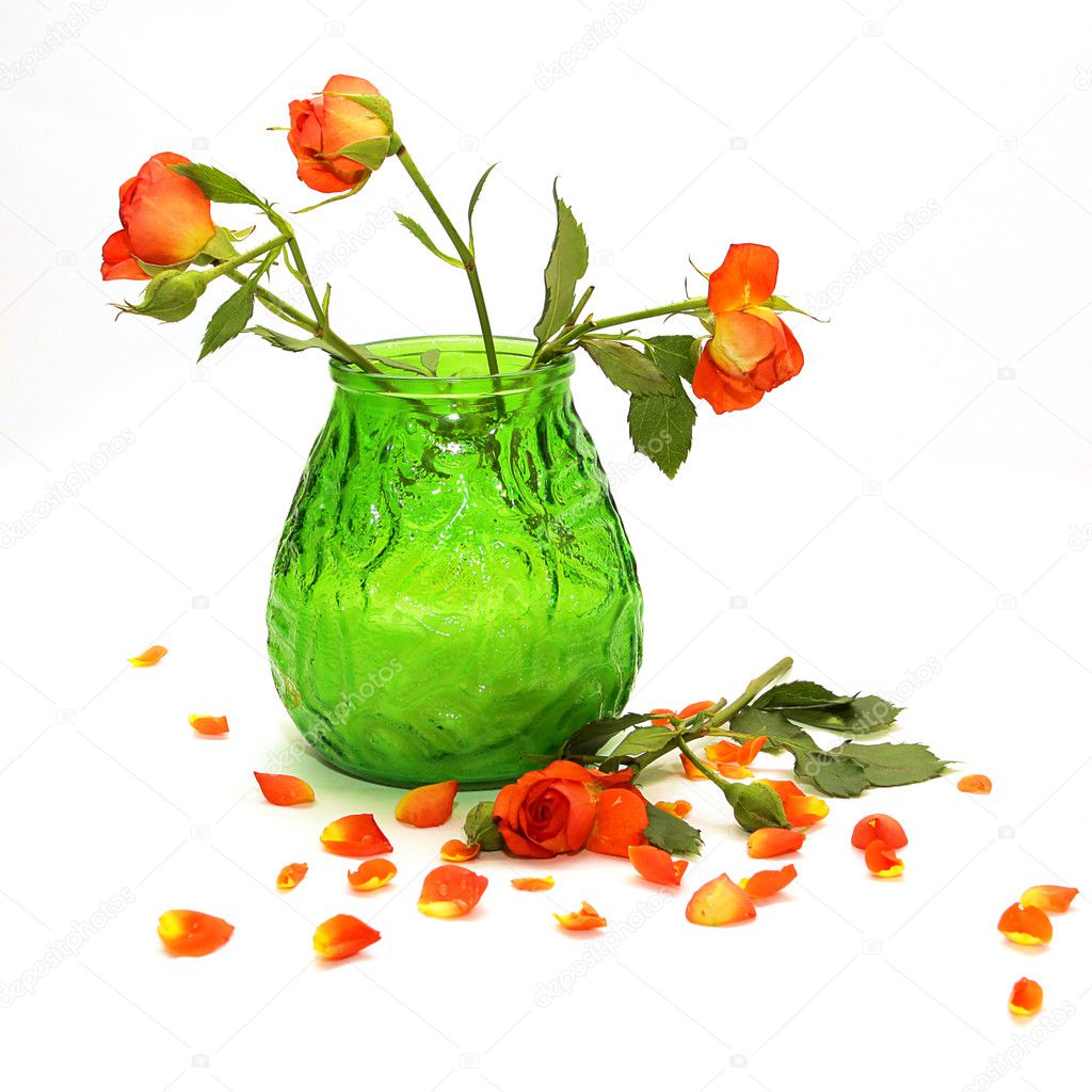 Delicate orange roses in a green vase