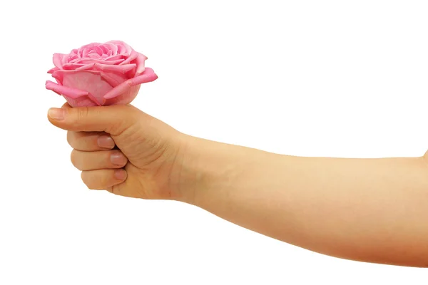 Пальцы с розой — стоковое фото