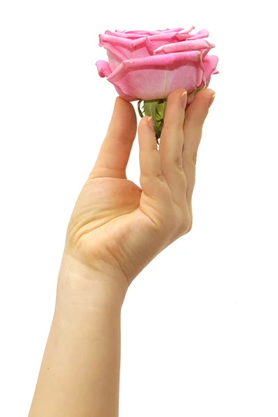 Fingers with rose — Stock Photo, Image