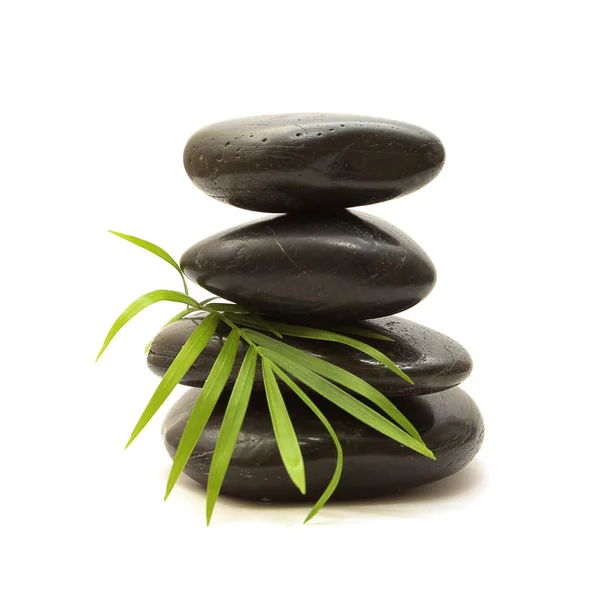 Zwarte stenen en groen blad — Stockfoto