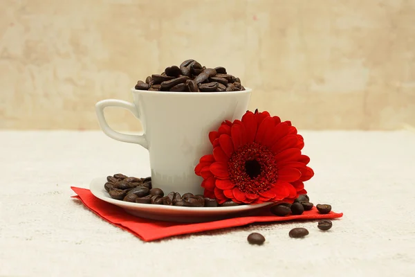 Cup of coffee and red flower — Stock Photo, Image