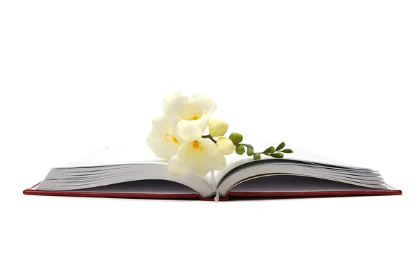 White flower on a book — Stock Photo, Image