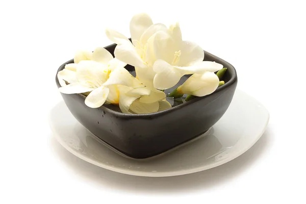 Fehér virágok egy kis váza — Stock Fotó