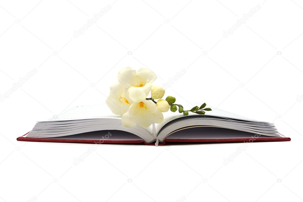White flower on a book