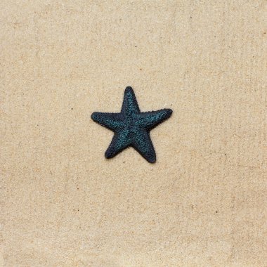 Blue starfish on the sea sand clipart