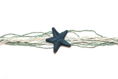 Blue starfish on a white background clipart