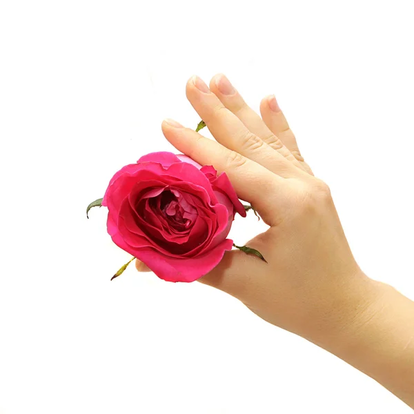 Ręka z kwiatem — Zdjęcie stockowe