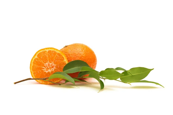 Frutos de tangerina frescos — Fotografia de Stock