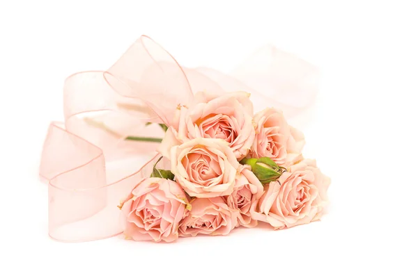 Rosas e fitas sobre fundo branco — Fotografia de Stock