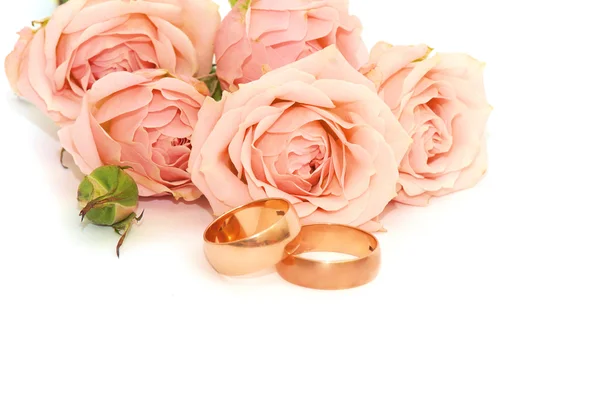 Anéis e rosas sobre fundo branco — Fotografia de Stock