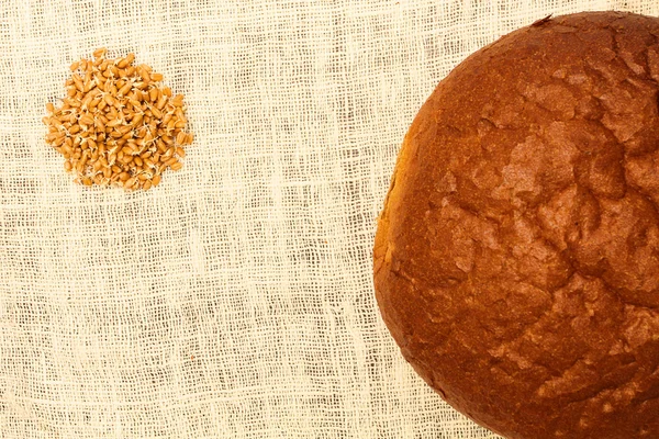 Konzept. Brot und Körner gegen — Stockfoto